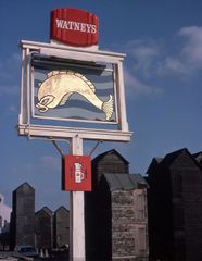 Dolphin Net Huts 1975
